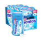 Mentos Pure Fresh - Fresh Mint Gum 50pcs