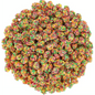US -Bulk - Nerds Rainbow Gummy Cluster 2.2kg