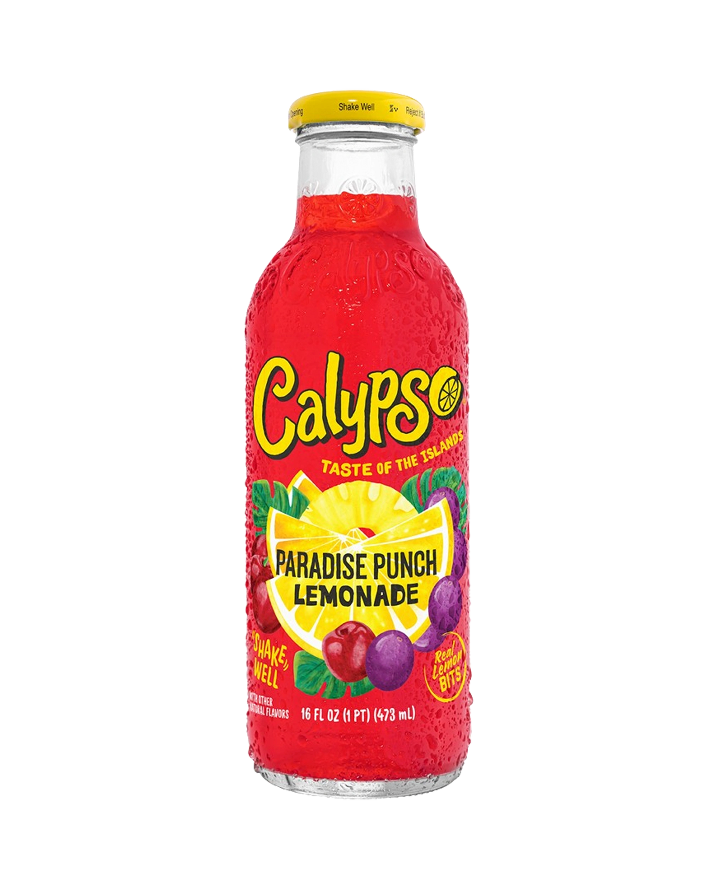 Calypso Paradise Punch 473ml